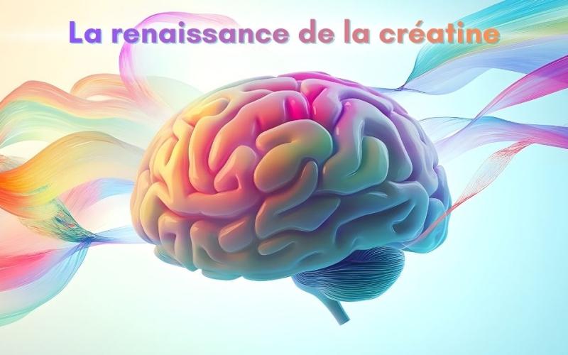 renaissancecreatine01