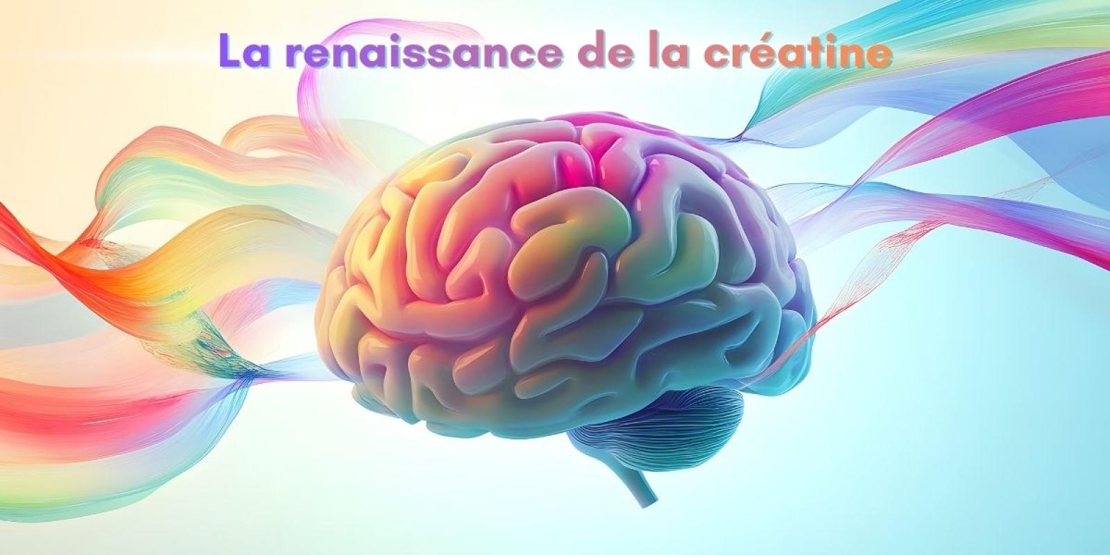 renaissancecreatine01